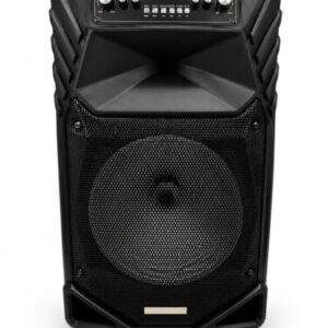 PROFI V18-2 15″ Bluetooth Karaoke Speaker